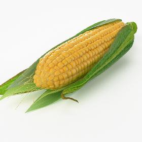 Realistic Corn
